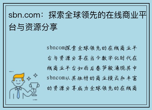 sbn.com：探索全球领先的在线商业平台与资源分享